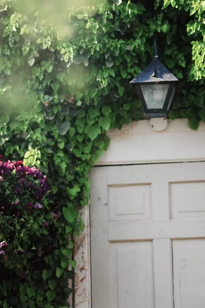 In The Garden by Chelsea Victoria art print