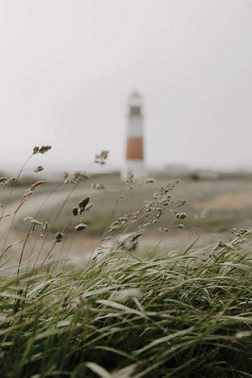 The Lighthouse Path