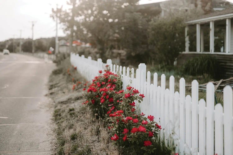 The Flowery Path by Chelsea Victoria wall art