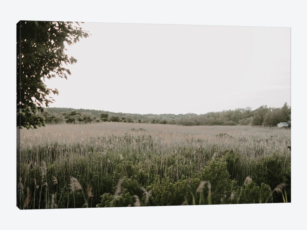 Wellfleet Marshes by Chelsea Victoria 1-piece Canvas Wall Art