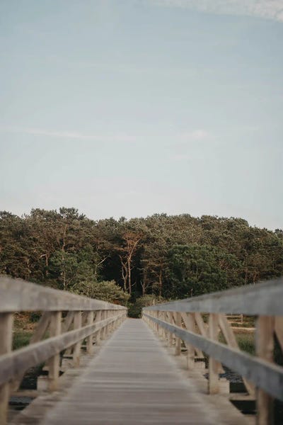 Path To Preserve by Chelsea Victoria acrylic art print