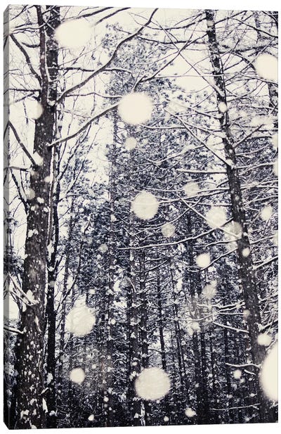 Into The Woods Canvas Art Print - Winter Wonderland