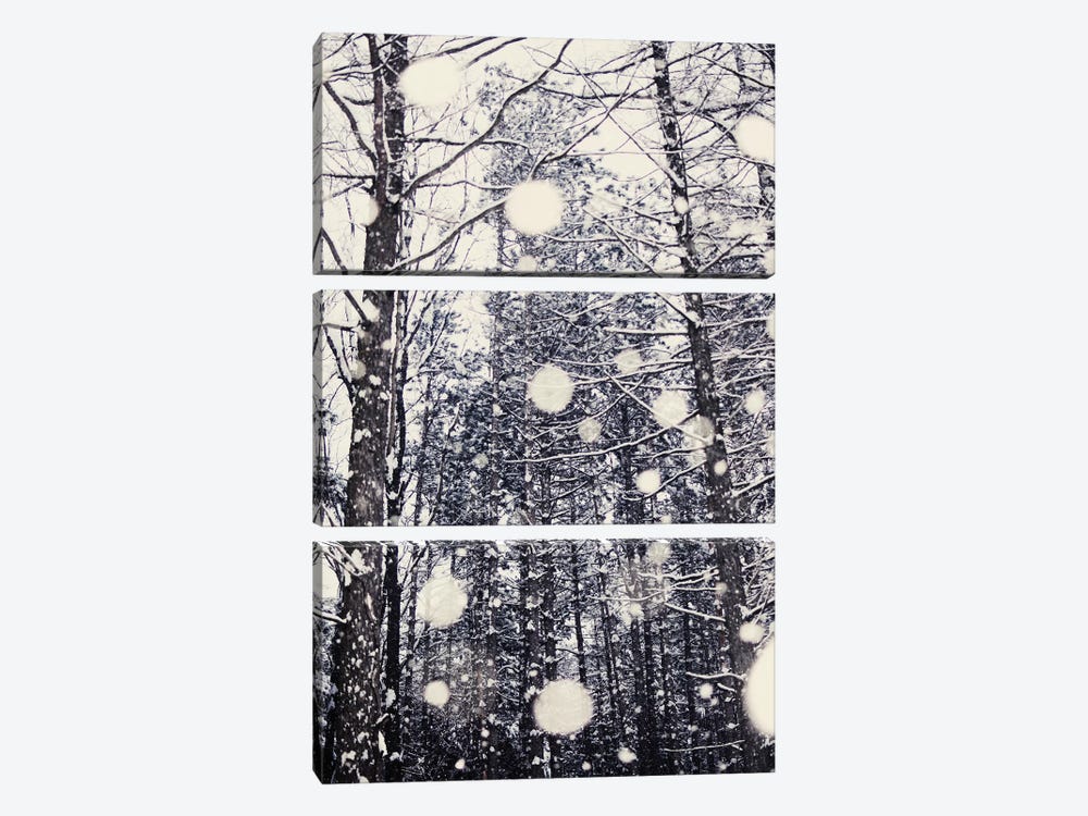Into The Woods by Chelsea Victoria 3-piece Canvas Artwork
