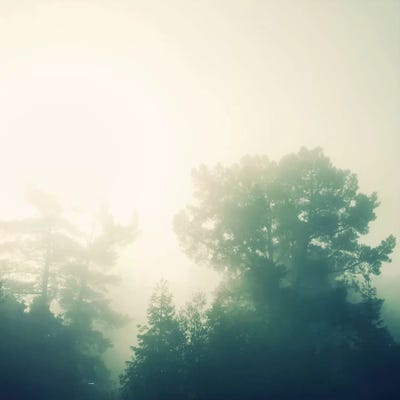 Journey by Chelsea Victoria acrylic art print