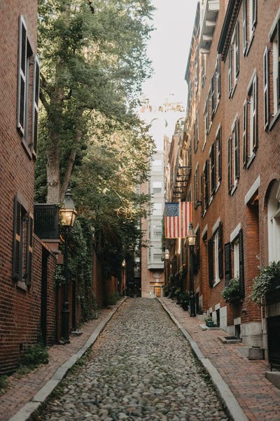 Acorn Street by Chelsea Victoria acrylic art print