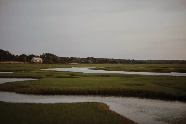 Chelsea Victoria: The Cape House by Chelsea Victoria