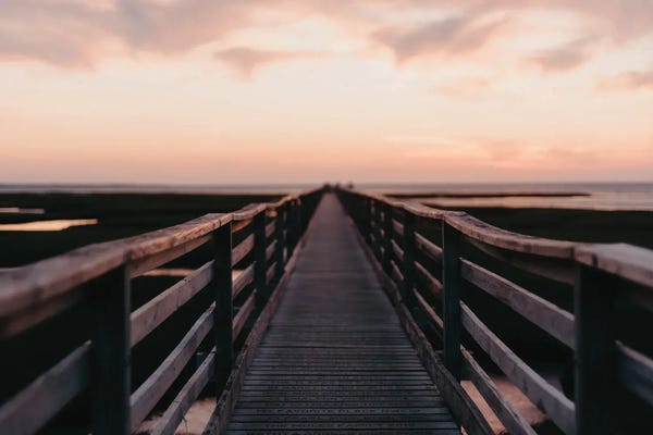 Path To Bliss