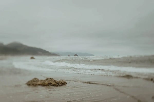 Chelsea Victoria: The Foggy Day by Chelsea Victoria