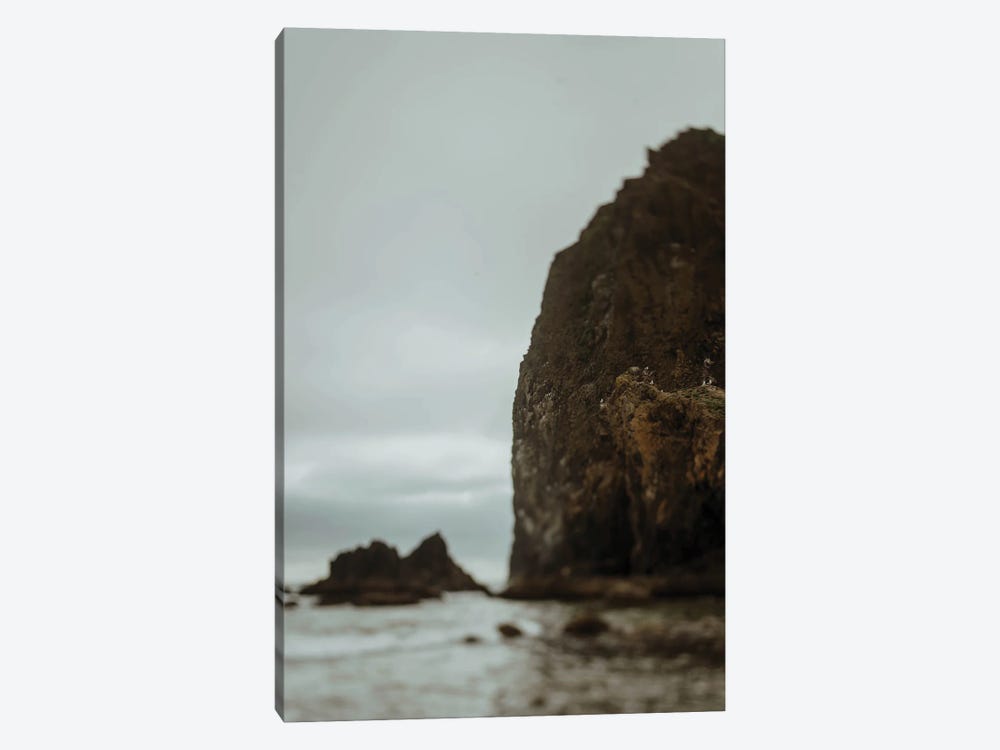 Cannon Rock by Chelsea Victoria 1-piece Canvas Wall Art