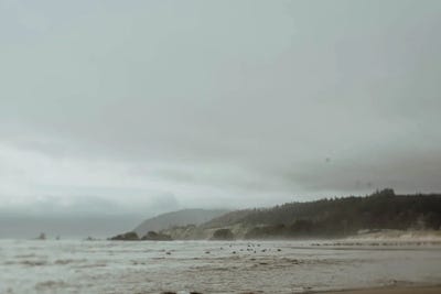 Coast And Birds by Chelsea Victoria acrylic art print