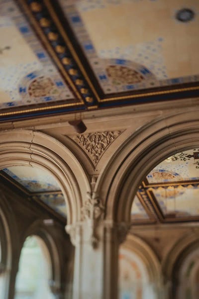 Maryland: Bethesda Zoom by Chelsea Victoria