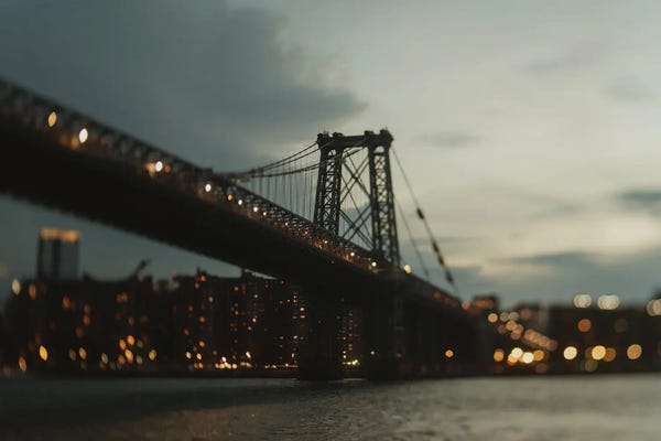 Brooklyn Bridge: We'll Have Manhattan by Chelsea Victoria