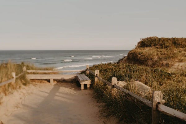 Chelsea Victoria: Beach Endings by Chelsea Victoria