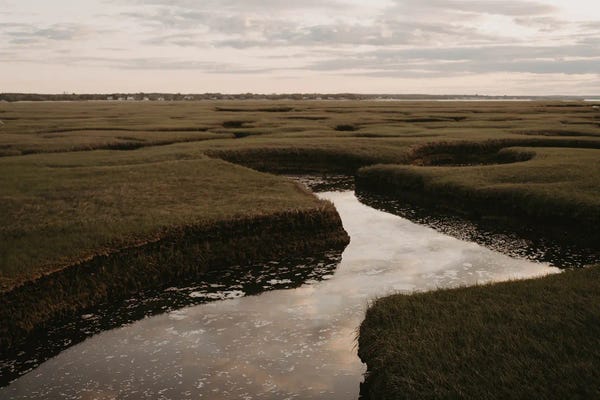 Chelsea Victoria: Cape Cod Marsh by Chelsea Victoria