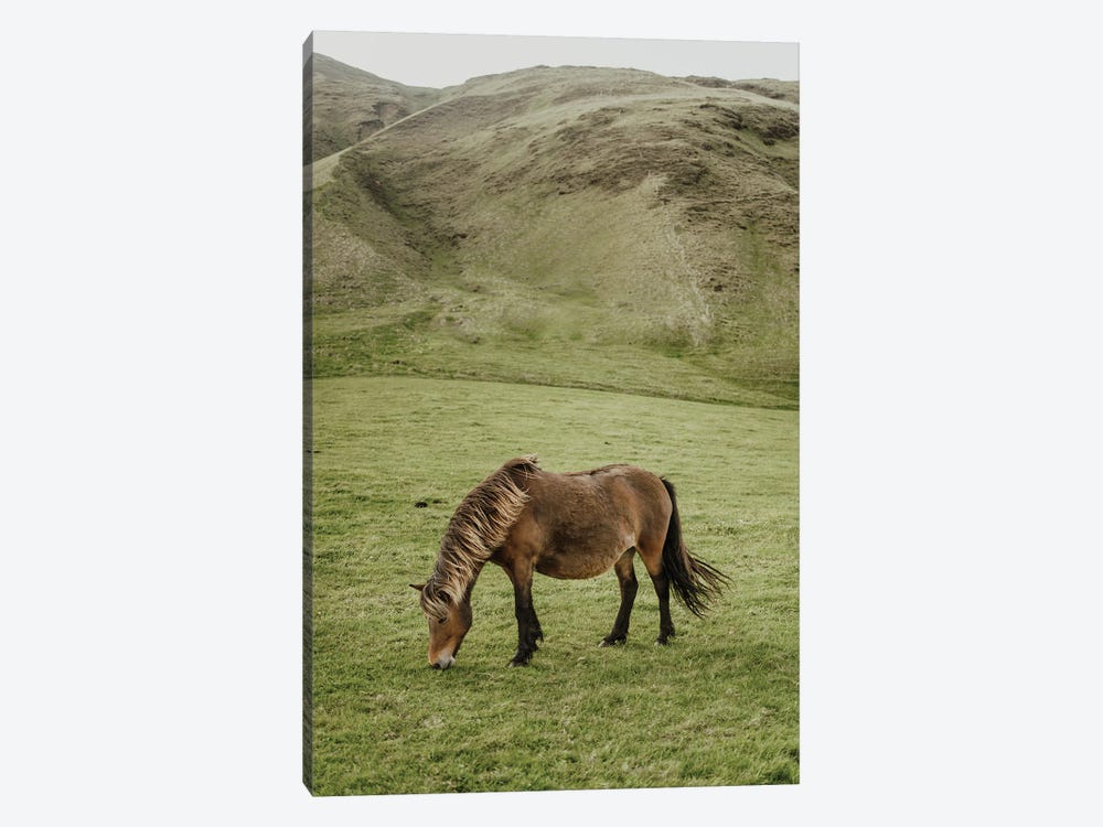 Icelandic Horse by Chelsea Victoria 1-piece Art Print