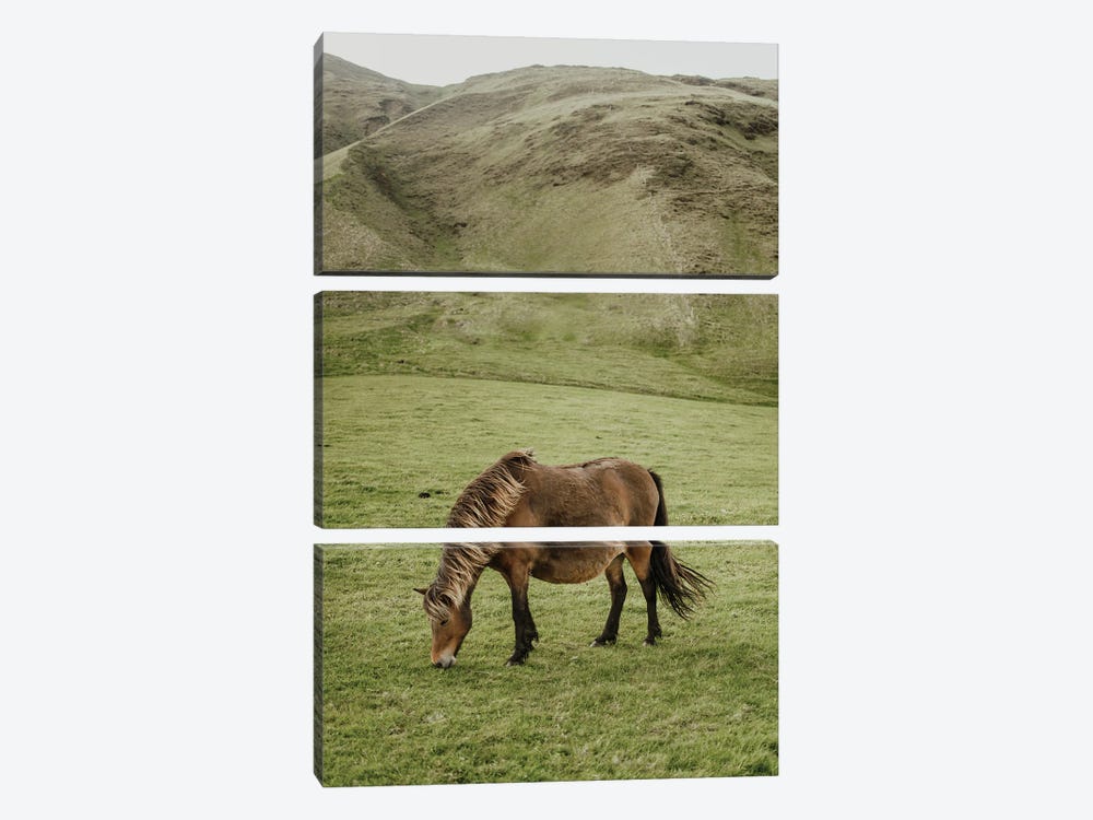 Icelandic Horse by Chelsea Victoria 3-piece Art Print