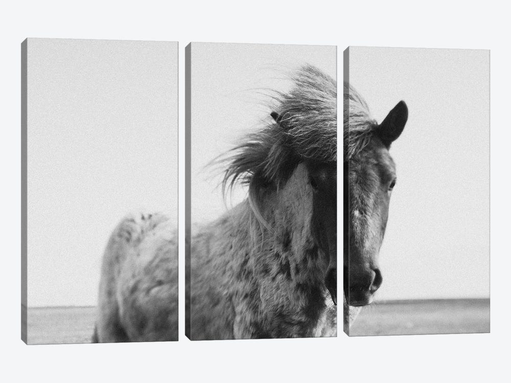 The Horses Of Iceland by Chelsea Victoria 3-piece Canvas Wall Art