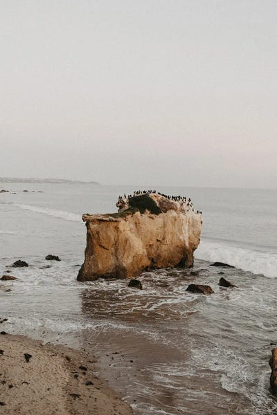 Chelsea Victoria: Malibu Birds by Chelsea Victoria