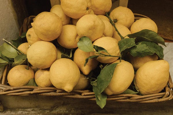 Lemons & Limes: Italian Lemons by Chelsea Victoria