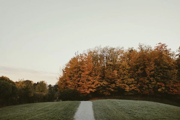 The Alchemy Of Autumn