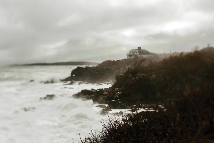 Coast Of Maine by Chelsea Victoria wall art