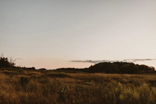 Maine: State Of Maine by Chelsea Victoria