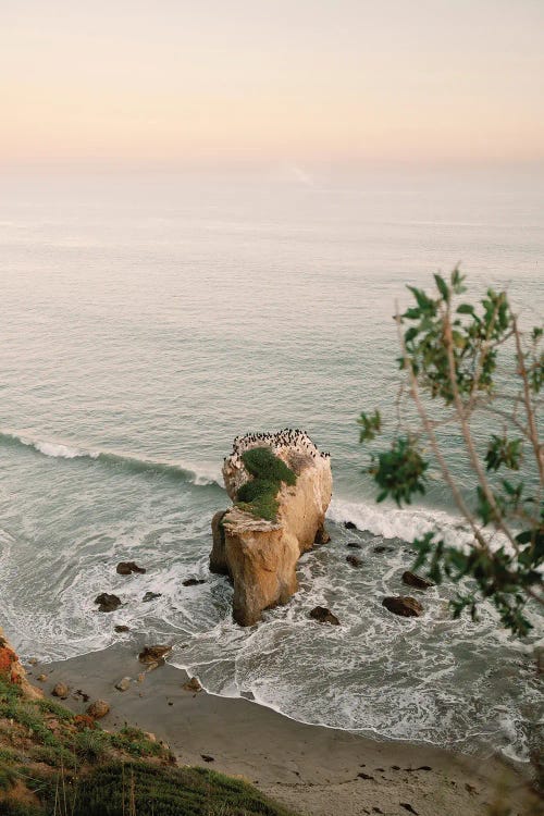 California Beach At Sunset