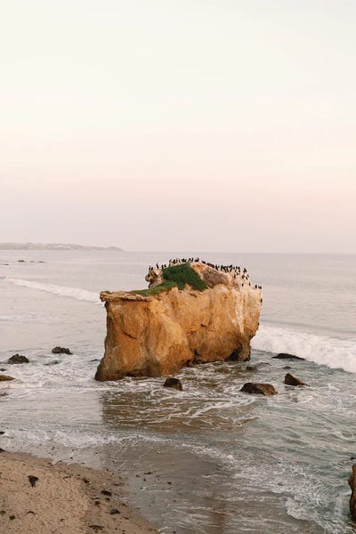 Sunset In Coastal California