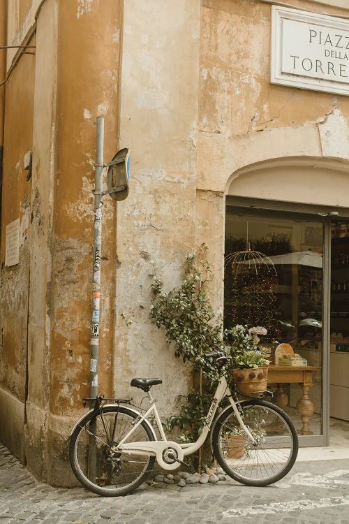 Bicycle In Roma