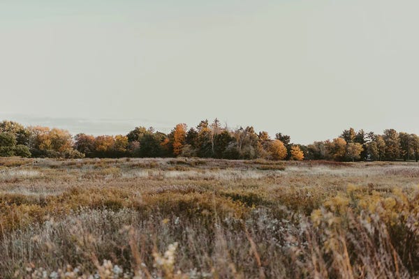 Maine: Autumn Landscape In Maine by Chelsea Victoria