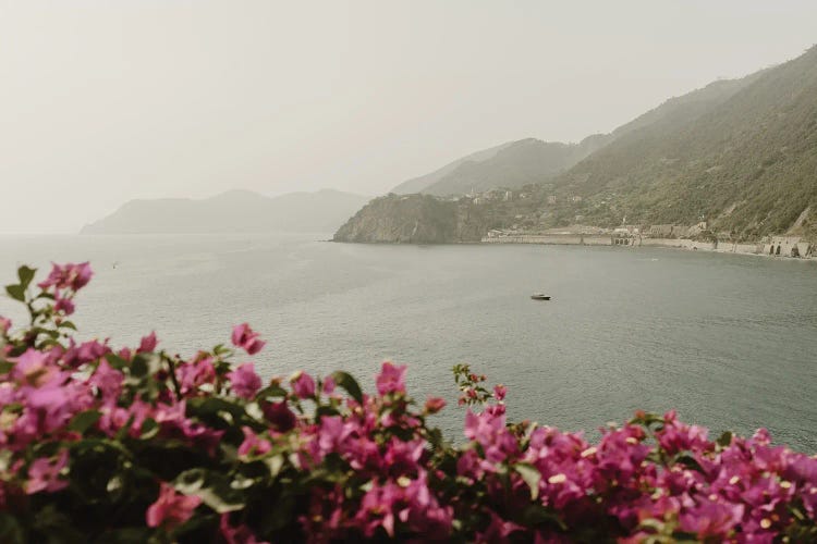 View From Manarola