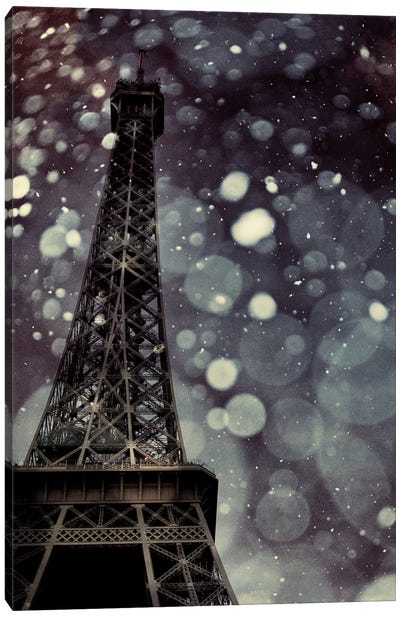 Paris Is Snowing Canvas Art Print - Ice & Snow Close-Up Art