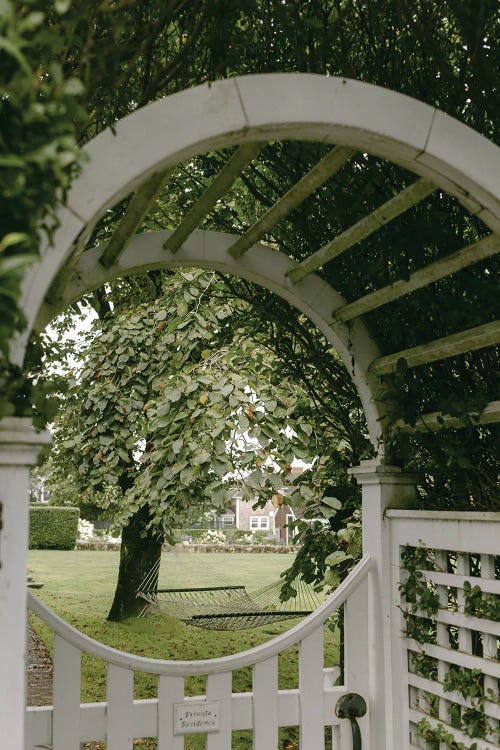 Martha's Vineyard Hammock