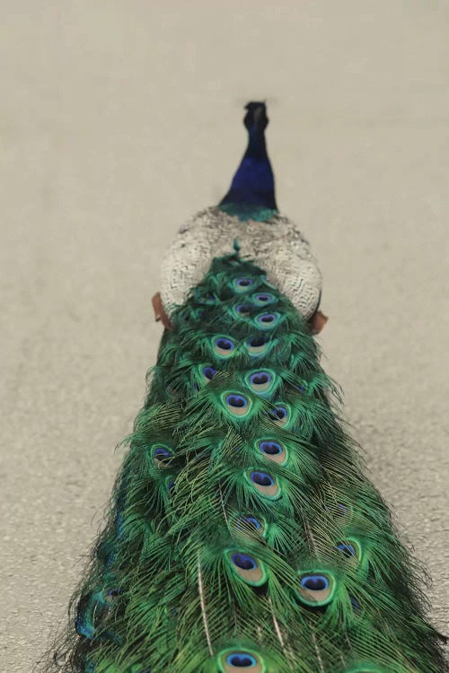 Shake Your Tailfeather I