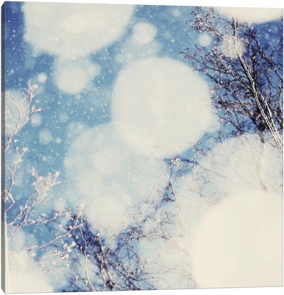 Snow III Canvas Art Print - Ice & Snow Close-Up Art