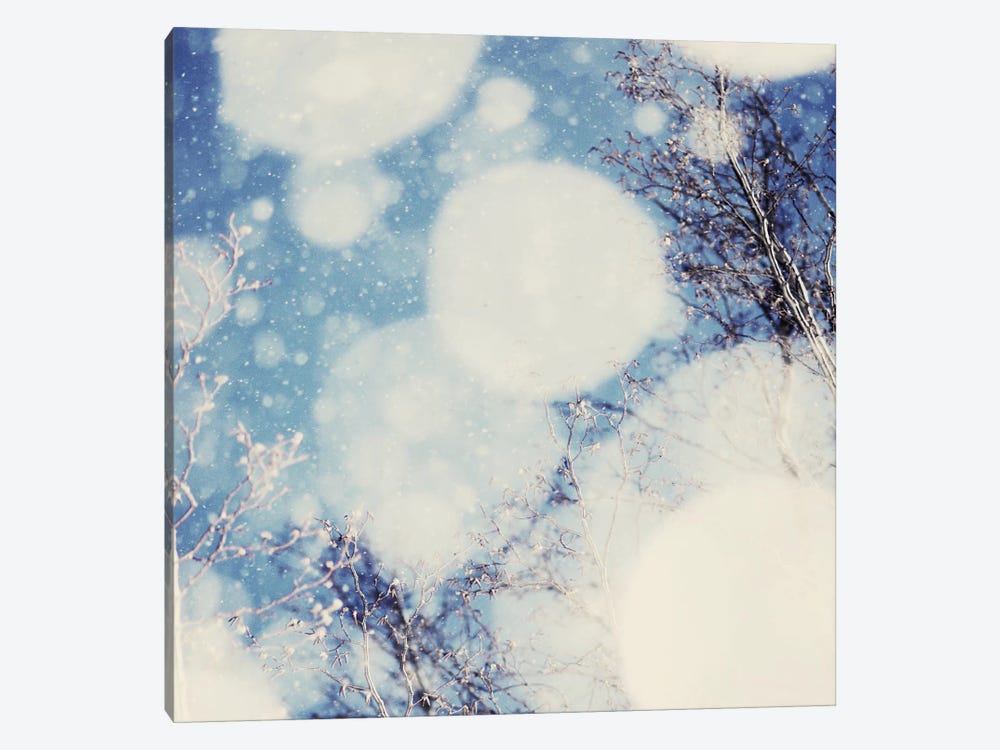 Snow III by Chelsea Victoria 1-piece Art Print