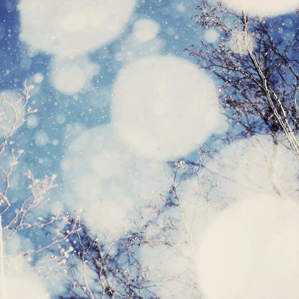 Chelsea Victoria: Snow III by Chelsea Victoria