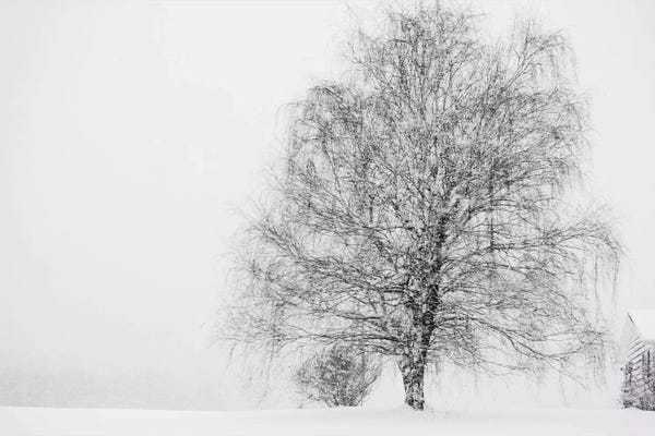 Chelsea Victoria: Snow Again by Chelsea Victoria
