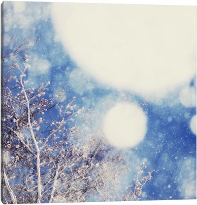 Snow And Trees II Canvas Art Print - Royal Blue & Silver