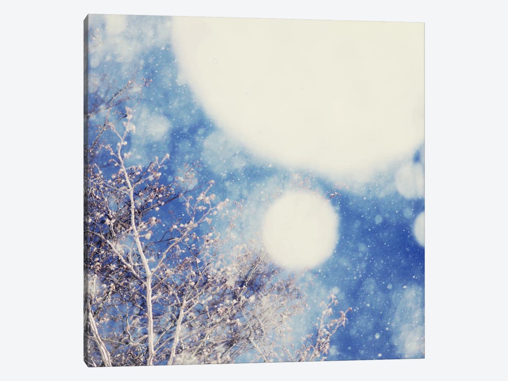 Snow And Trees II by Chelsea Victoria 1-piece Canvas Artwork