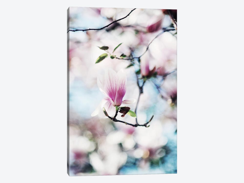 Spring In Bloom by Chelsea Victoria 1-piece Art Print