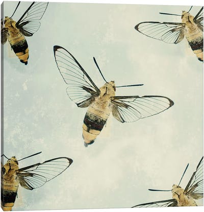 The Beyhive Canvas Art Print - Insect & Bug Art