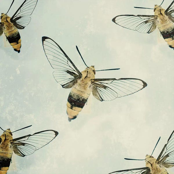 Wings: The Beyhive by Chelsea Victoria