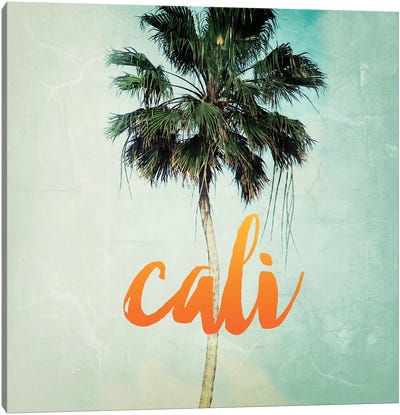 California Canvas Art Print - Traveler