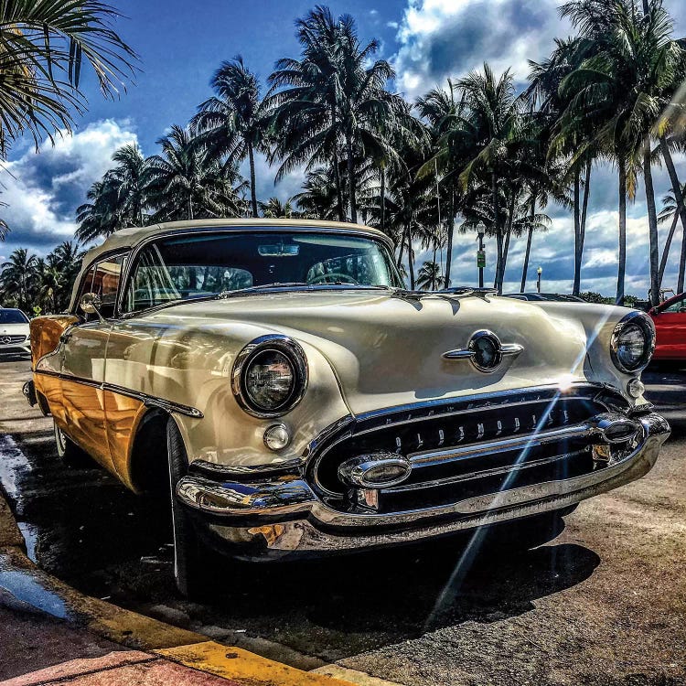 Miami by Caitlin Vera wall art
