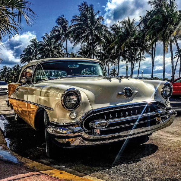 Caitlin Vera: Miami by Caitlin Vera