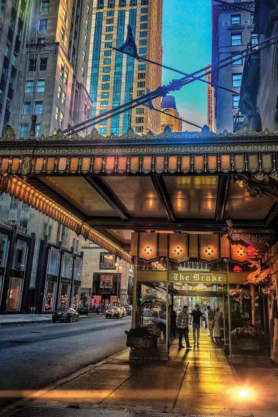 The Drake by Caitlin Vera framed wall art