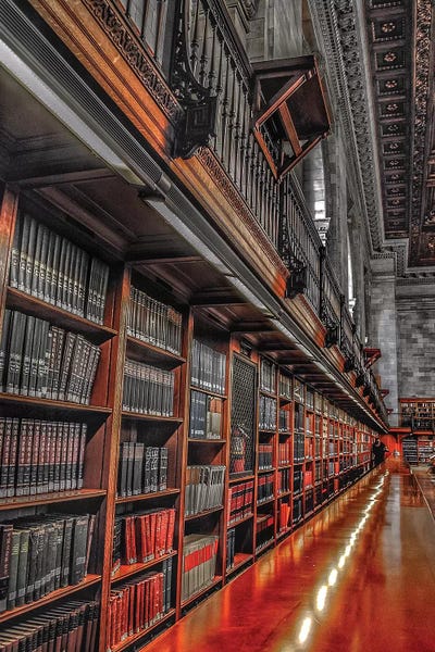 Books by Caitlin Vera framed wall art