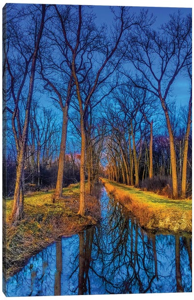 Water In The Woods Canvas Art Print