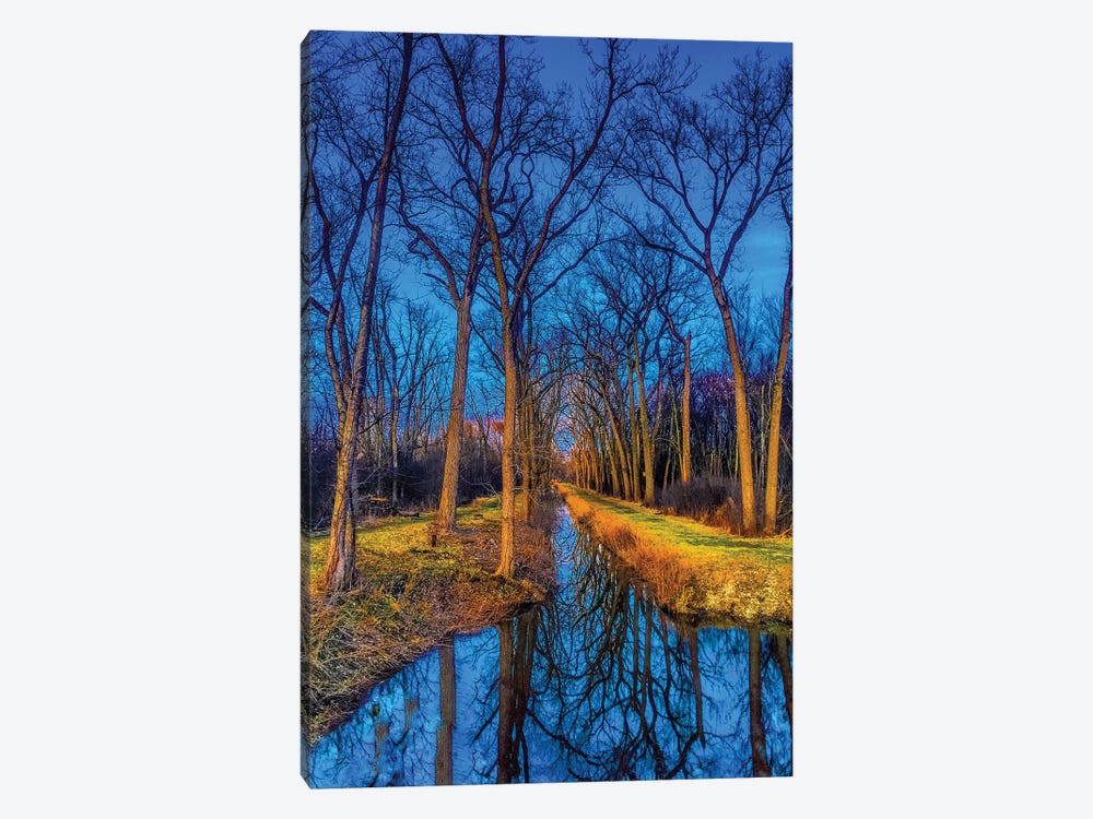 Water In The Woods by Caitlin Vera 1-piece Canvas Wall Art